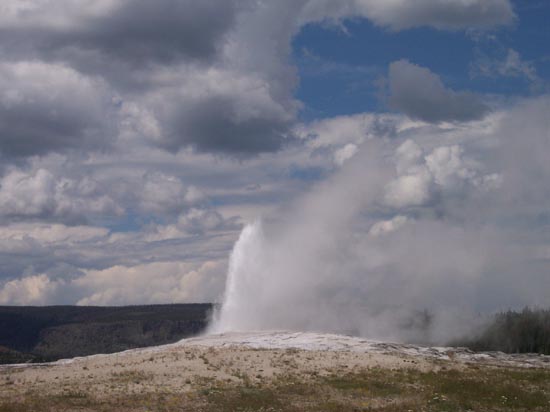 2006 family reunion in Yellowstone National Park